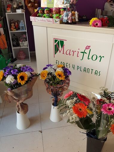 Flores y Plantas Mariflor