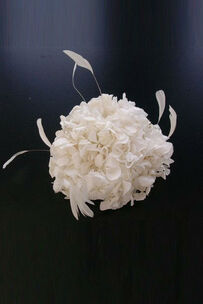 Lady Sposa Accessori