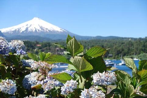 Huincahue Pucón