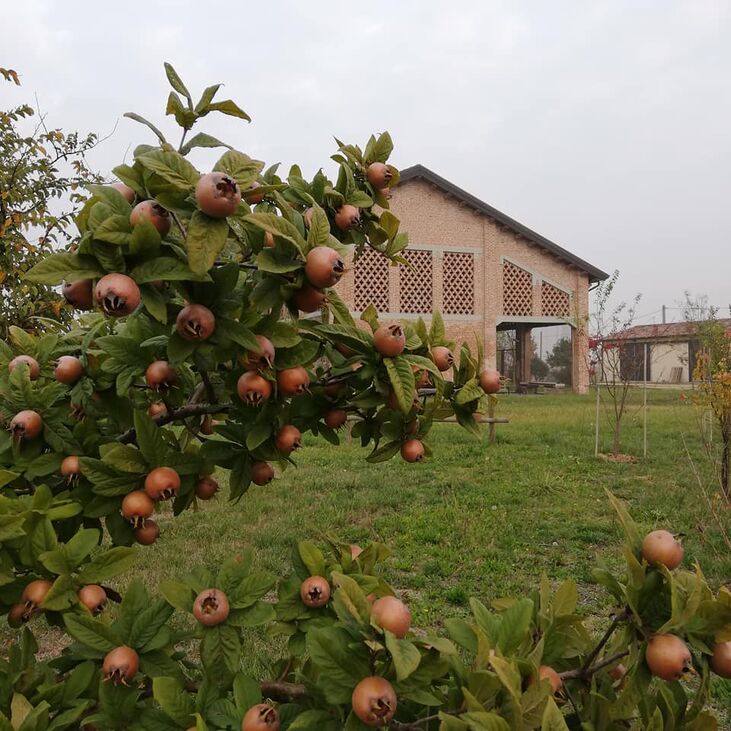 Tenuta La Comuna