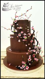 Les Gâteaux de Lilou Cake Design