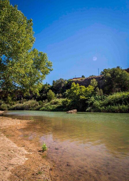 restaurante el Moli