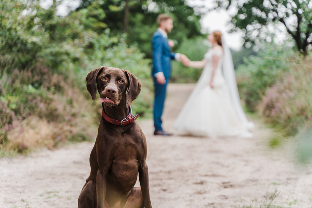 Bruidsfotograaf Gera