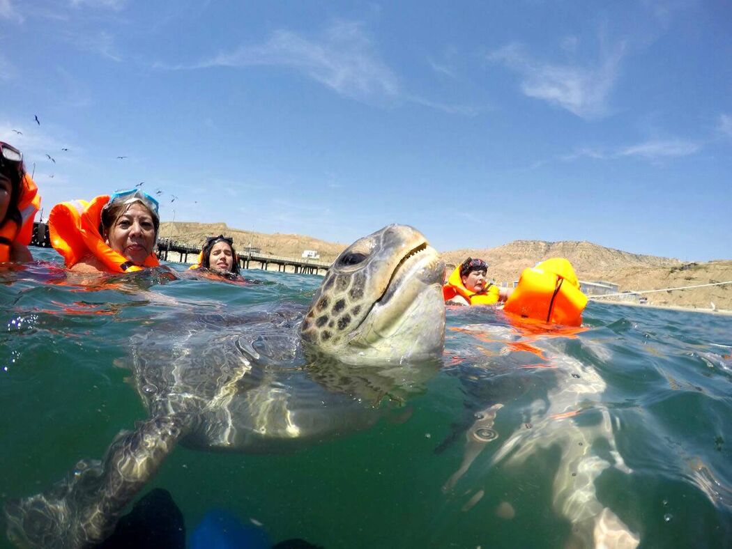 Travelers Tours Perú