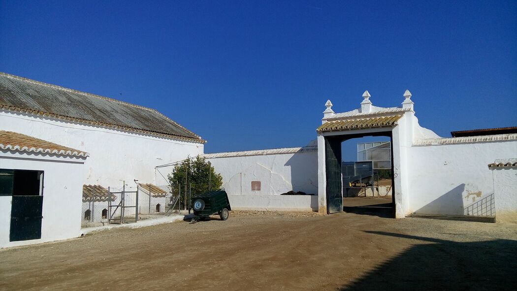 Cortijo el Solano