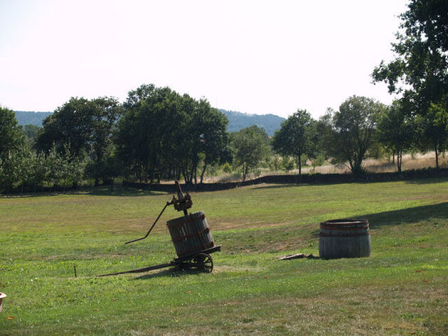 Pazo San Damián