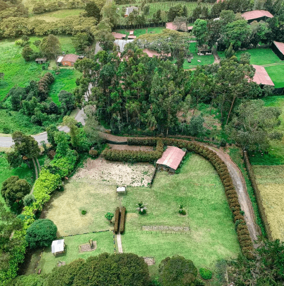 Hacienda Cañaveral
