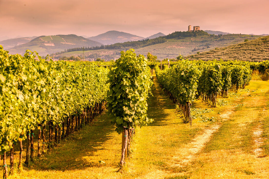 Tenuta Sant'Antonio Castagnedi