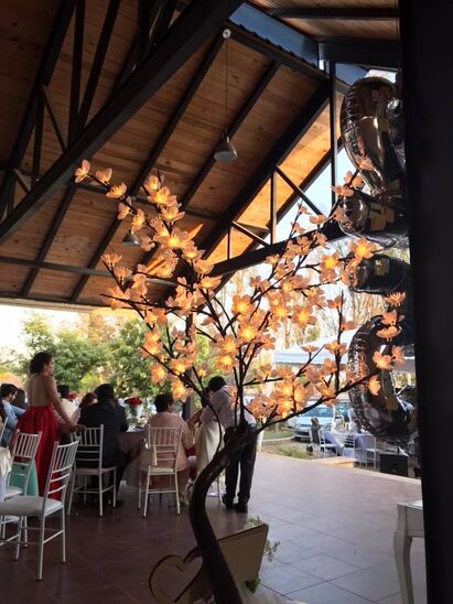 Jardín de Eventos Las Granjas