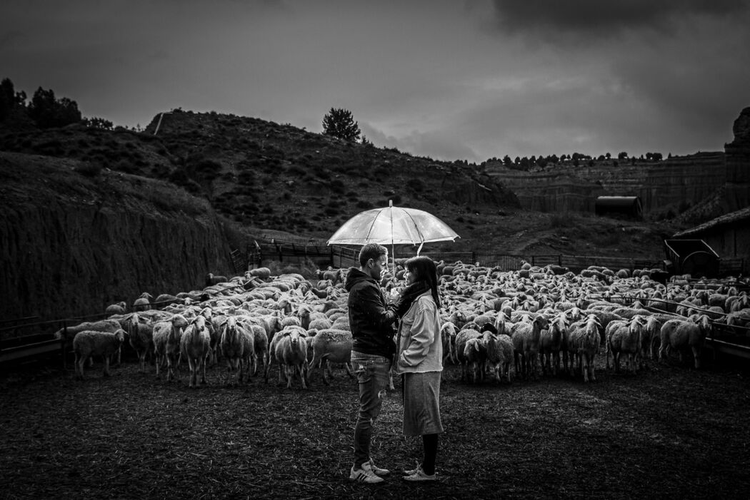 El Hilo Rojo - Fotografía