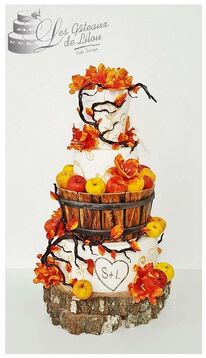 Les Gâteaux de Lilou Cake Design
