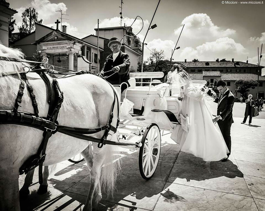 Federico Miccioni Fotografo