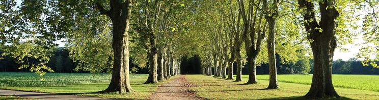 Parc de Schoppenwihr