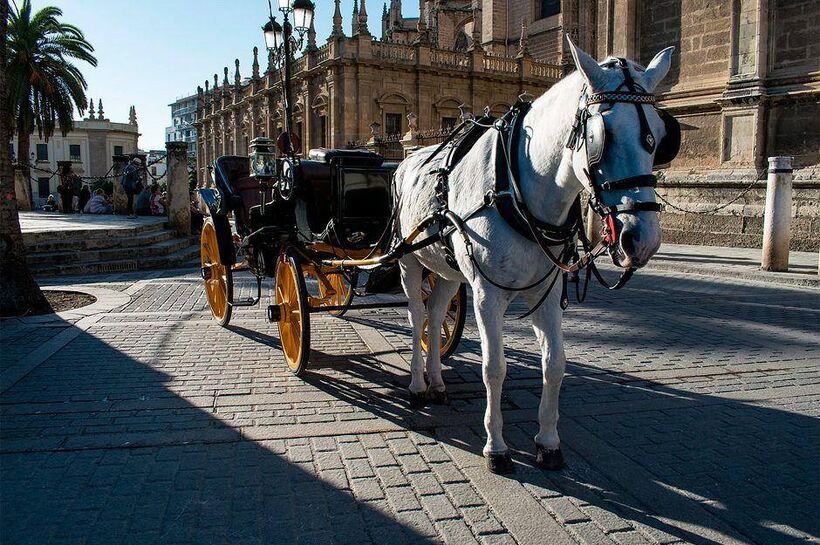 JV Tours Sevilla