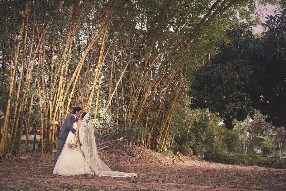 Mi Vestido de Novia - Bogotá