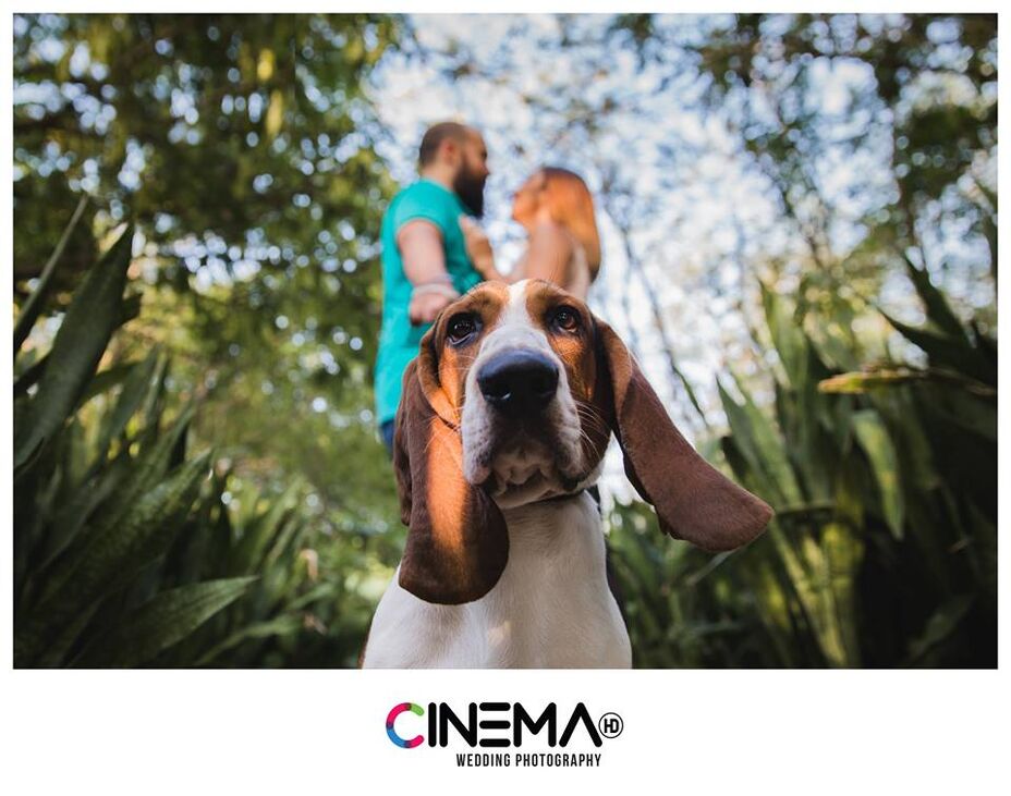 Cinema HD