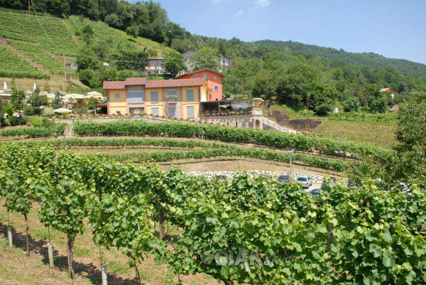 Tenuta Casa Virginia