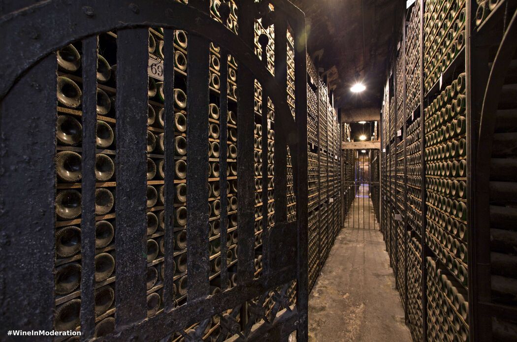 Bodega Marqués de Riscal