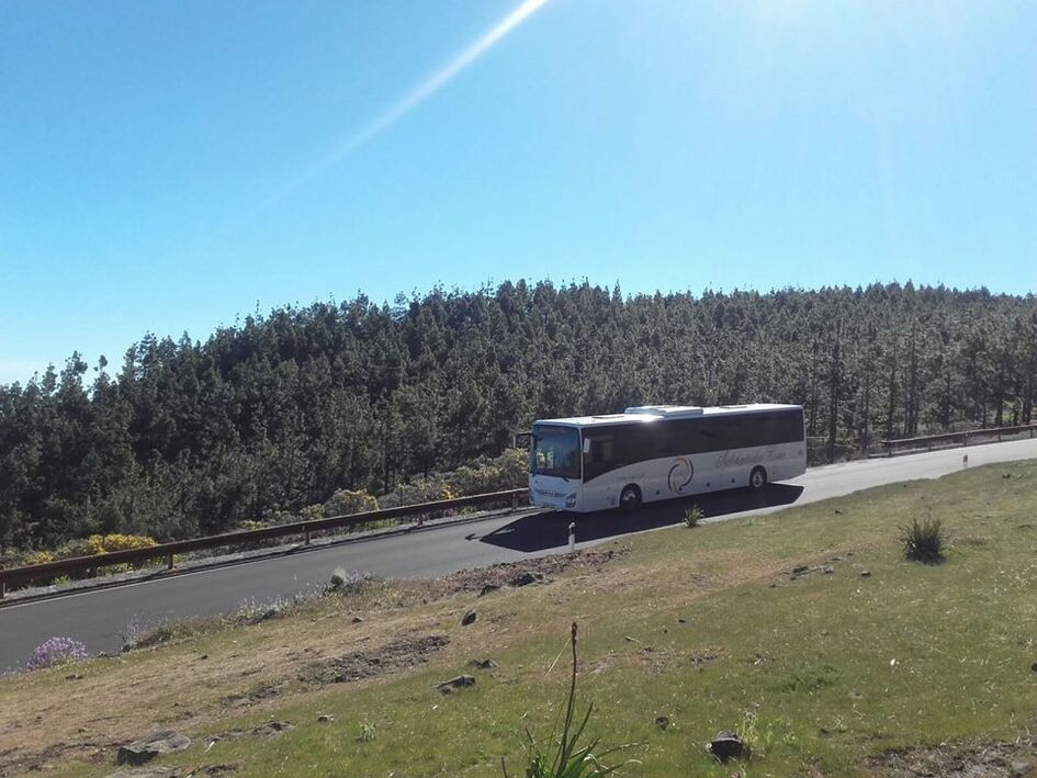 Atlántida bus