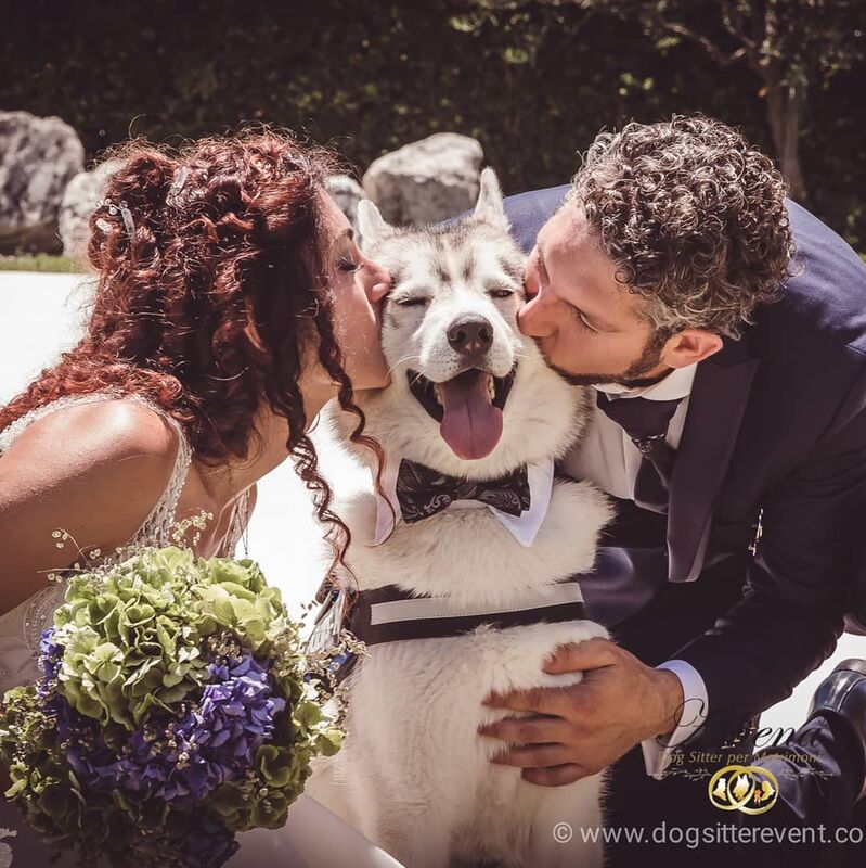 Athena Dog Sitter per Matrimoni