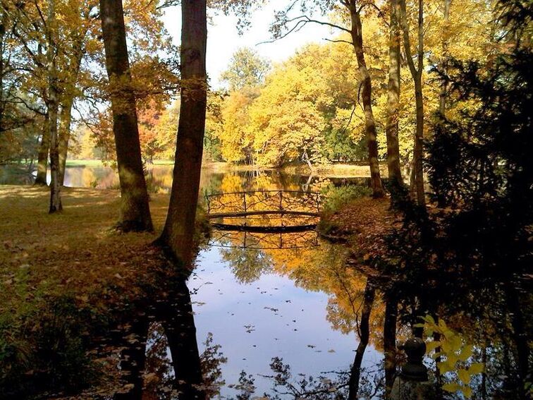 Parc de Schoppenwihr