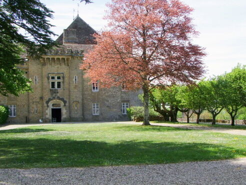 Château De Frontenay
