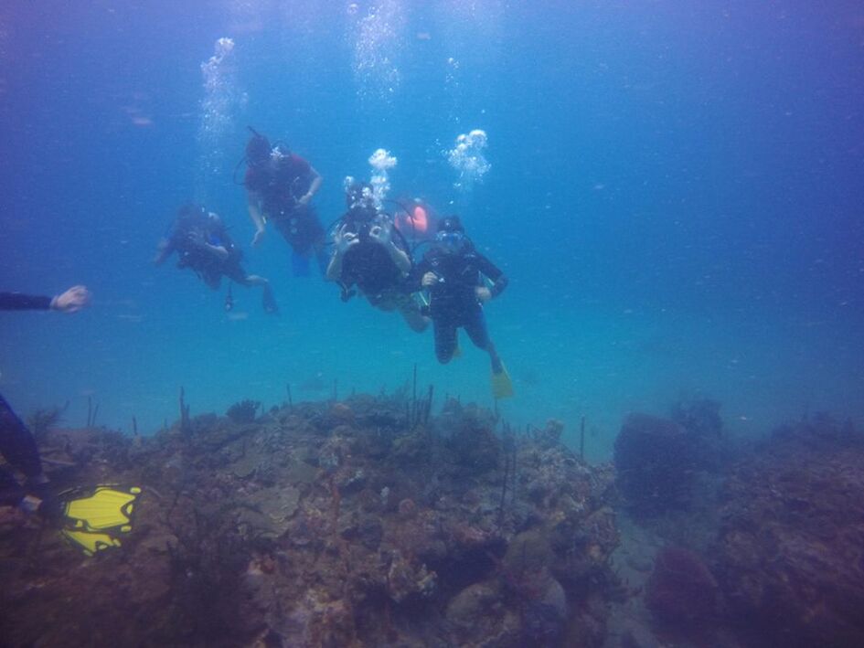 Colombia DIVE