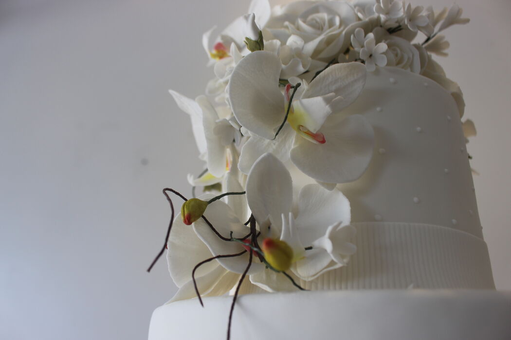 Mislene Cabral | Cake Designer