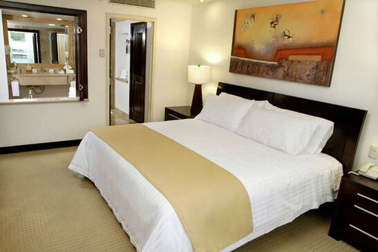 Hotel Holiday Inn & Suites Zona Rosa