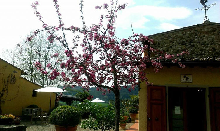 Relais Poggio Borgoni