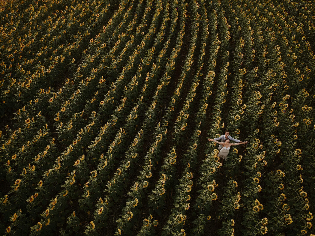 Cesar Mazzucca Fotografia e filmes