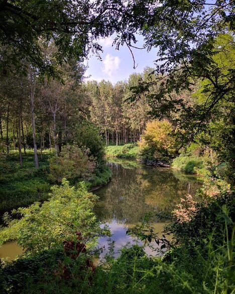 Agriturismo Relais Tenuta il Cigno