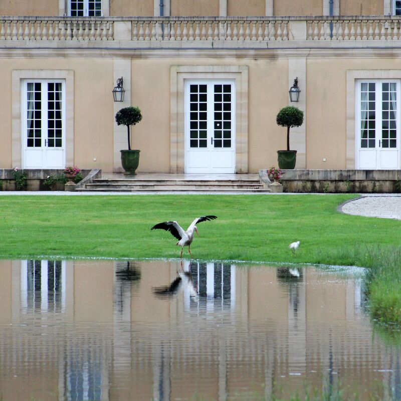 Château Dauzac