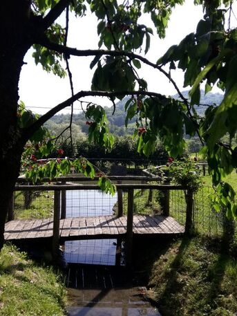 Fattoria Valle delle Gombe