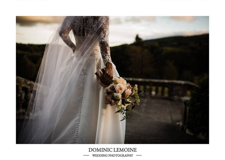 Dominic Lemoine Photography