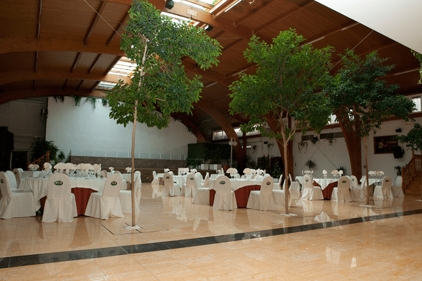 Terraza Brisamar