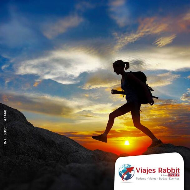 Viajes Rabbit