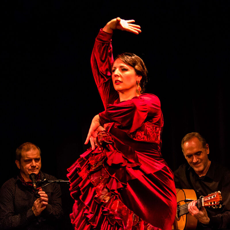 Sina Flamenco