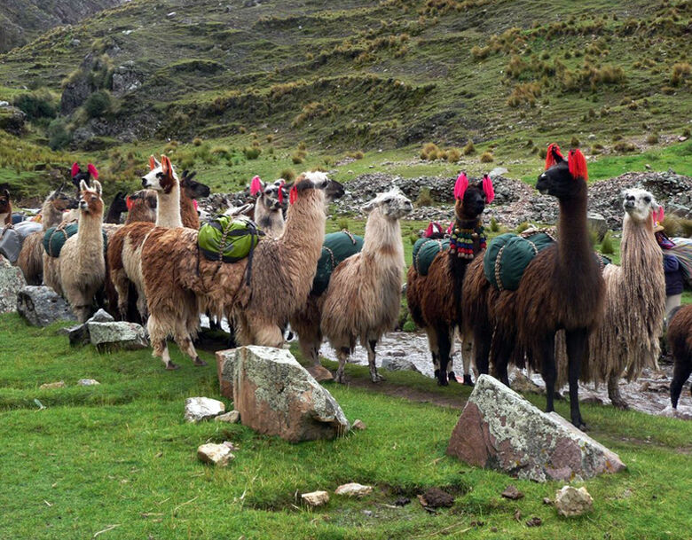 Perú Inka Travel