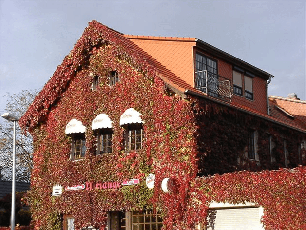 Mélange - Restaurant und Café