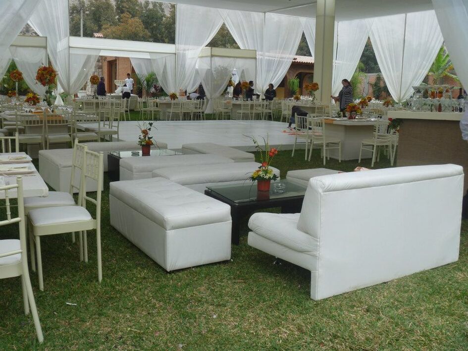 Puma Salitas Lounge