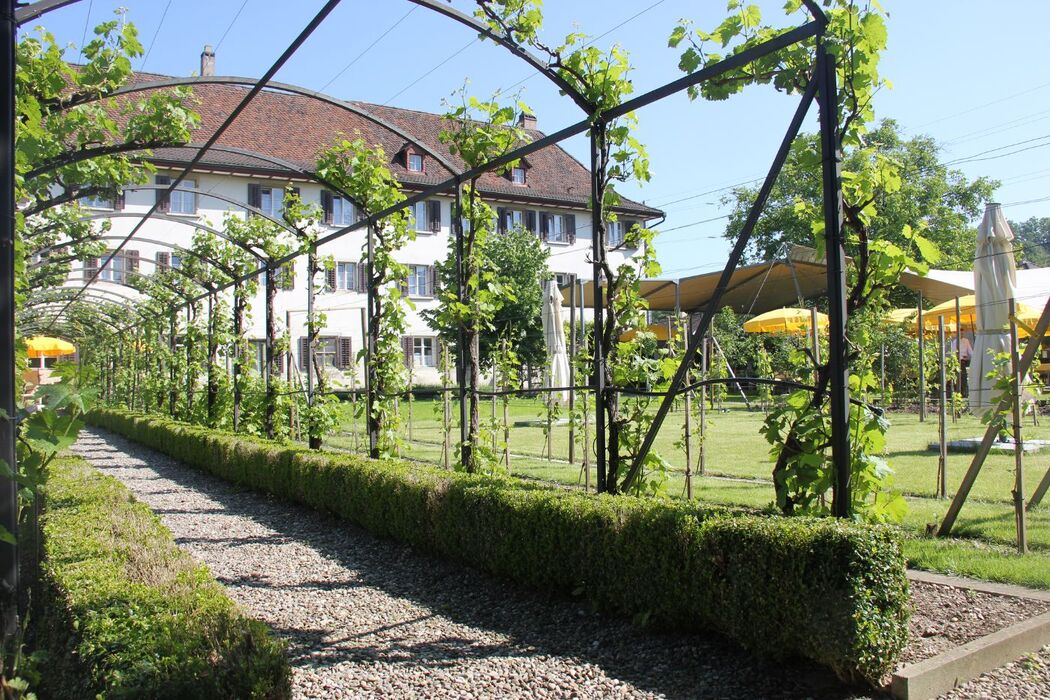 Hotel Kloster Dornach