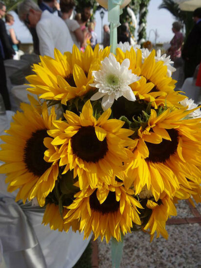Sunflowers Weddings