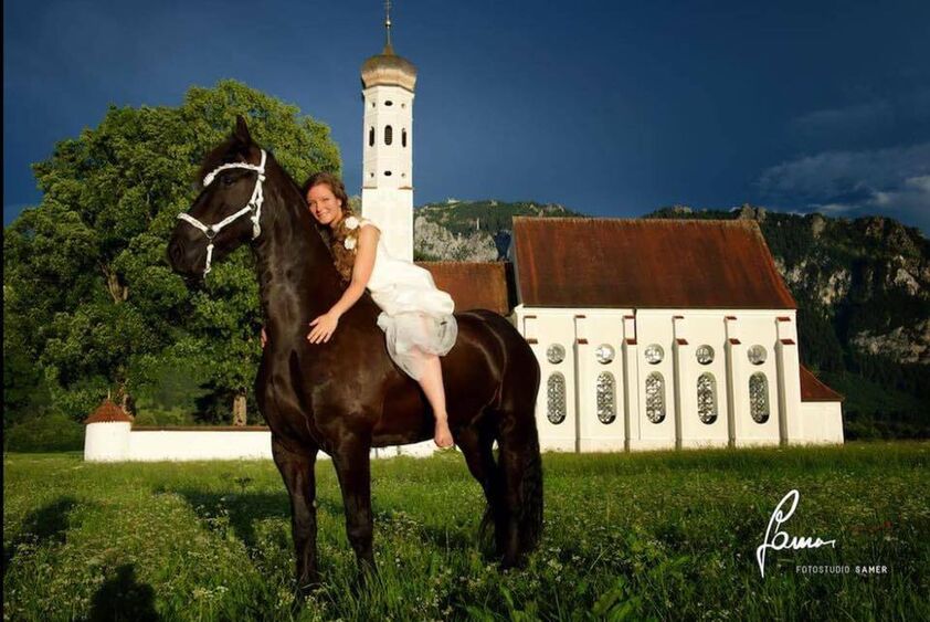 Hochzeitspferde - Wedding horses