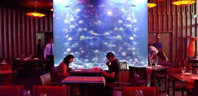 Costamía Restaurante Aquarium