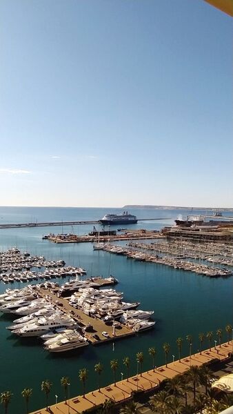 Terminal de Cruceros de Alicante