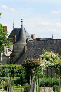 Château de la Bourdaisière