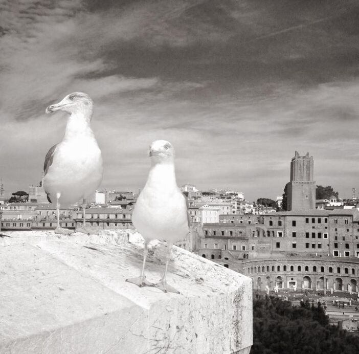 Fabrizio Vinti fotografo