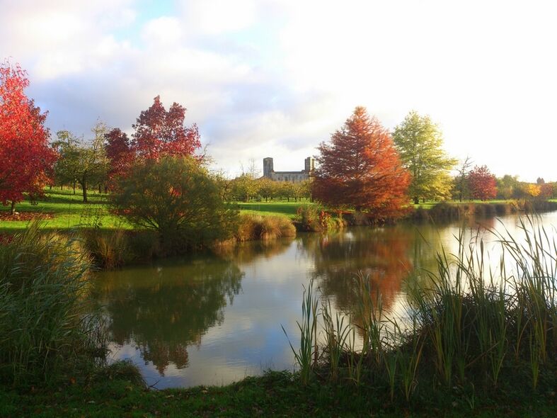 Les Jardins de Coursiana