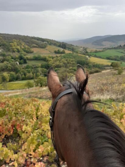 L'Etape Cavalière